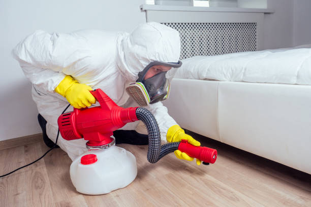 Best Real Estate Pest Inspections  in Paulina, LA